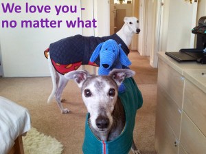 Dog love is unconditional